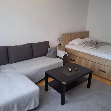 Vukmanovic Apartment