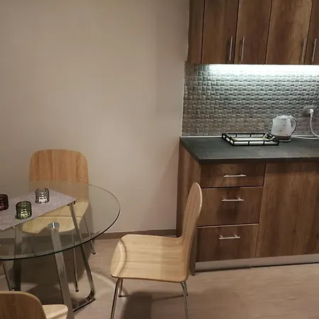 Apartment Vukmanovic *